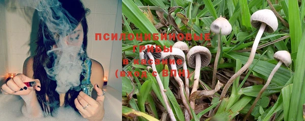 mdpv Волосово