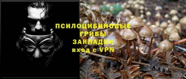 дурь Володарск